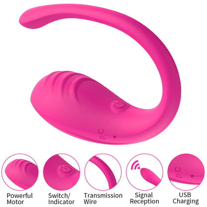 9 Speed APP Controlled Vaginal Vibrators G Spot Anal Vibrating Egg Massager Wearable Stimulator Adult Sex Toys for Women Couples