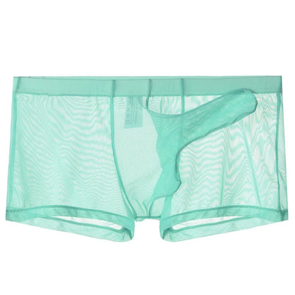 Sexy Men Underwear Transparent Ultra-thin See Through Briefs Mesh Panties