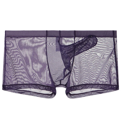 Sexy Men Underwear Transparent Ultra-thin See Through Briefs Mesh Panties