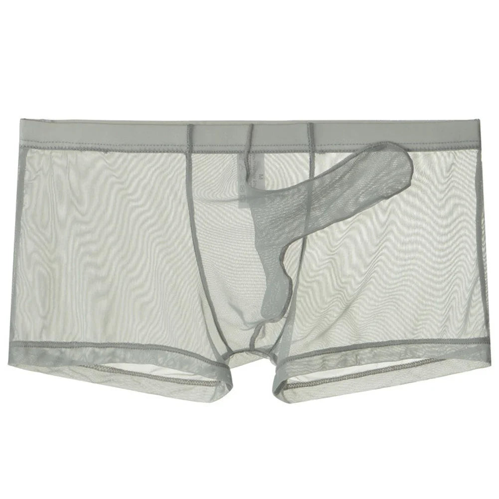 Sexy Men Underwear Transparent Ultra-thin See Through Briefs Mesh Panties