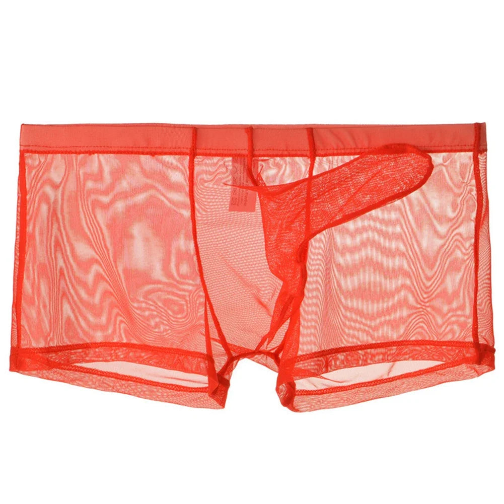 Sexy Men Underwear Transparent Ultra-thin See Through Briefs Mesh Panties