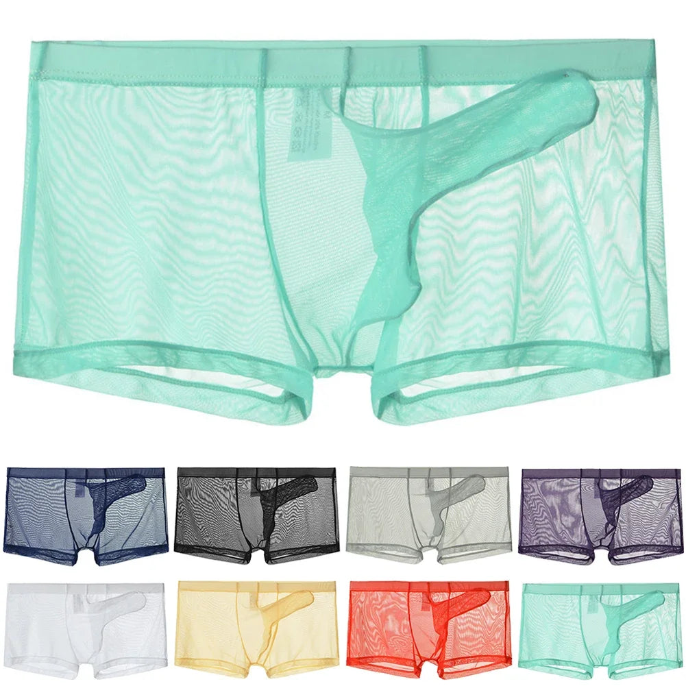 Sexy Men Underwear Transparent Ultra-thin See Through Briefs Mesh Panties