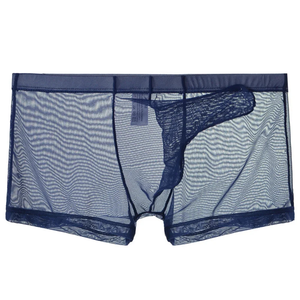 Sexy Men Underwear Transparent Ultra-thin See Through Briefs Mesh Panties