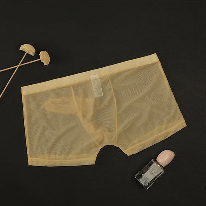 Sexy Men Underwear Transparent Ultra-thin See Through Briefs Mesh Panties