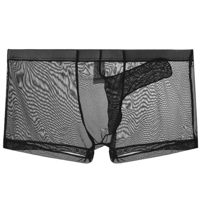 Sexy Men Underwear Transparent Ultra-thin See Through Briefs Mesh Panties